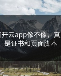 别只盯着开云app像不像，真正要看的是证书和页面脚本
