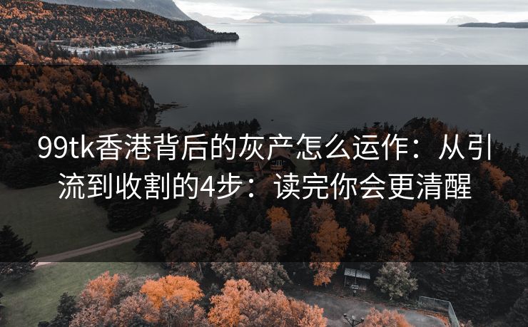 99tk香港背后的灰产怎么运作:从引流到收割的4步:读完你会更清醒 99tk香港背后的灰产怎么运作:从引流到收割的4步:读完你会更清醒