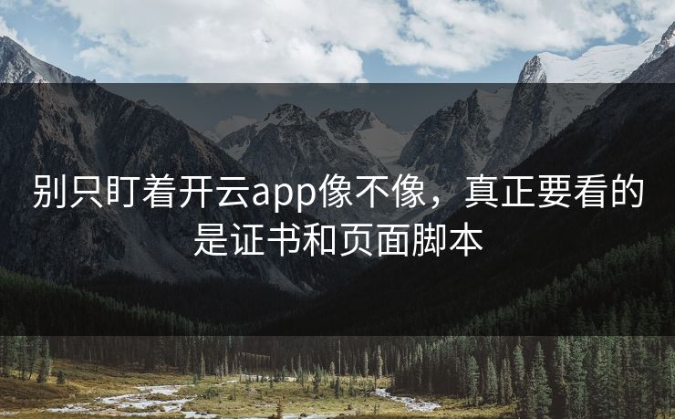 别只盯着开云app像不像,真正要看的是证书和页面脚本 别只盯着开云app像不像,真正要看的是证书和页面脚本